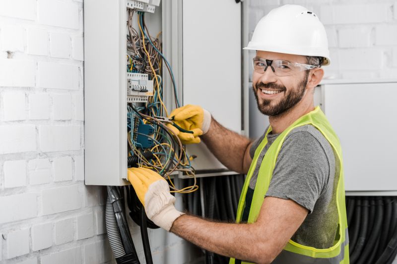 Professional Electrical Inspection